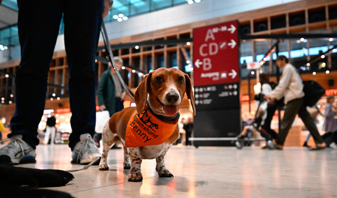 «Patrulla canina» calma a los viajeros en el aeropuerto de Berlín