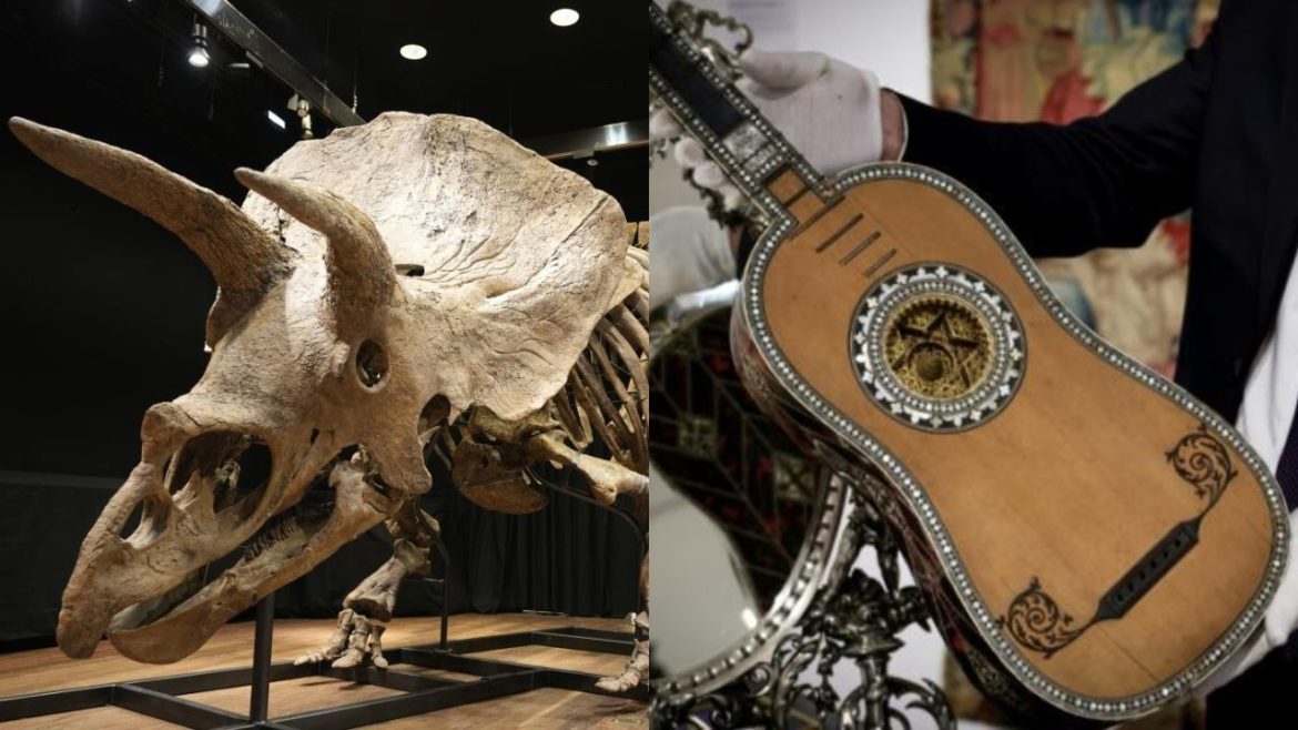 Subastan en Francia un cráneo de triceratops y una guitarra de la época de Luis XIV