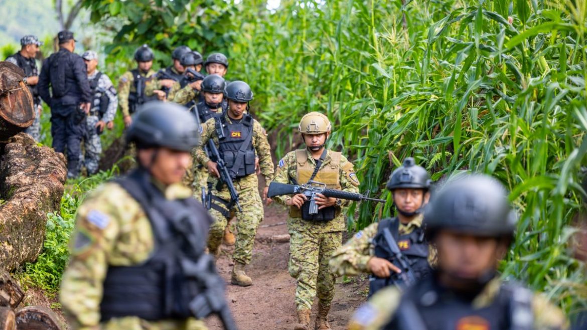 El Salvador suma 11 días con cero homicidios en lo que va de noviembre 2023