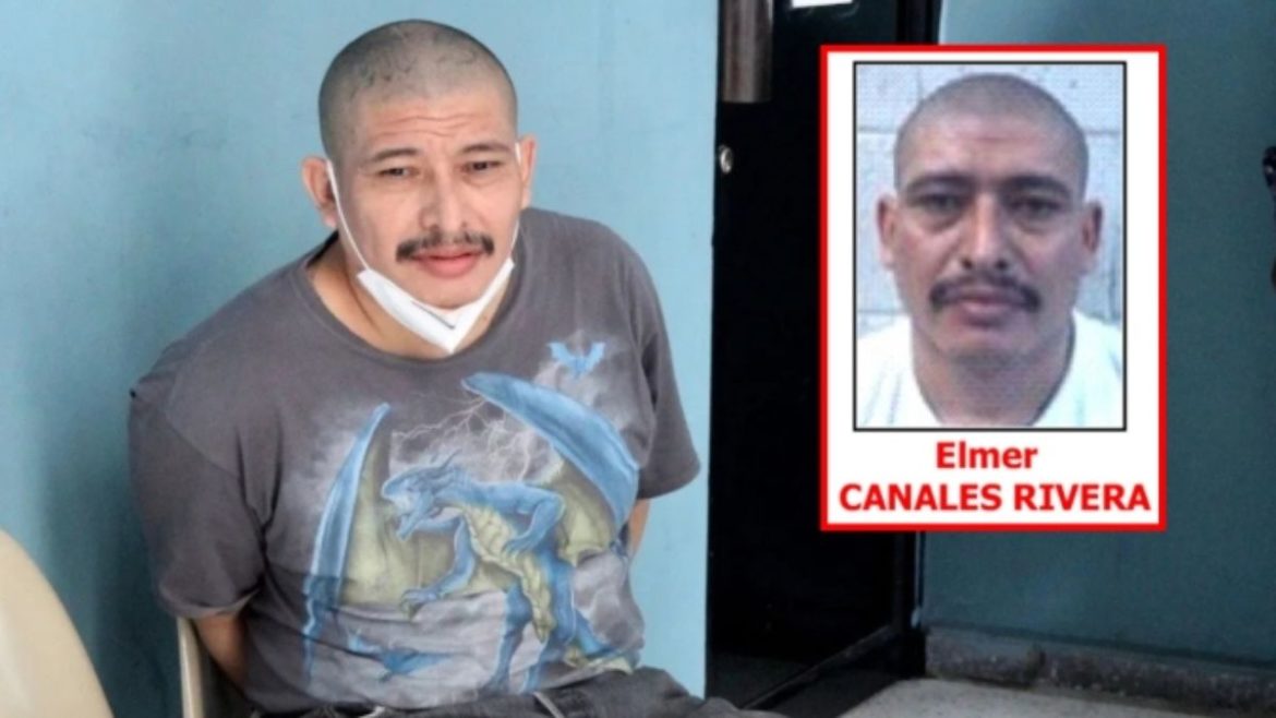 Capturan en México a Elmer Canales Rivera, alias «Crook» que será extraditado a EE.UU.