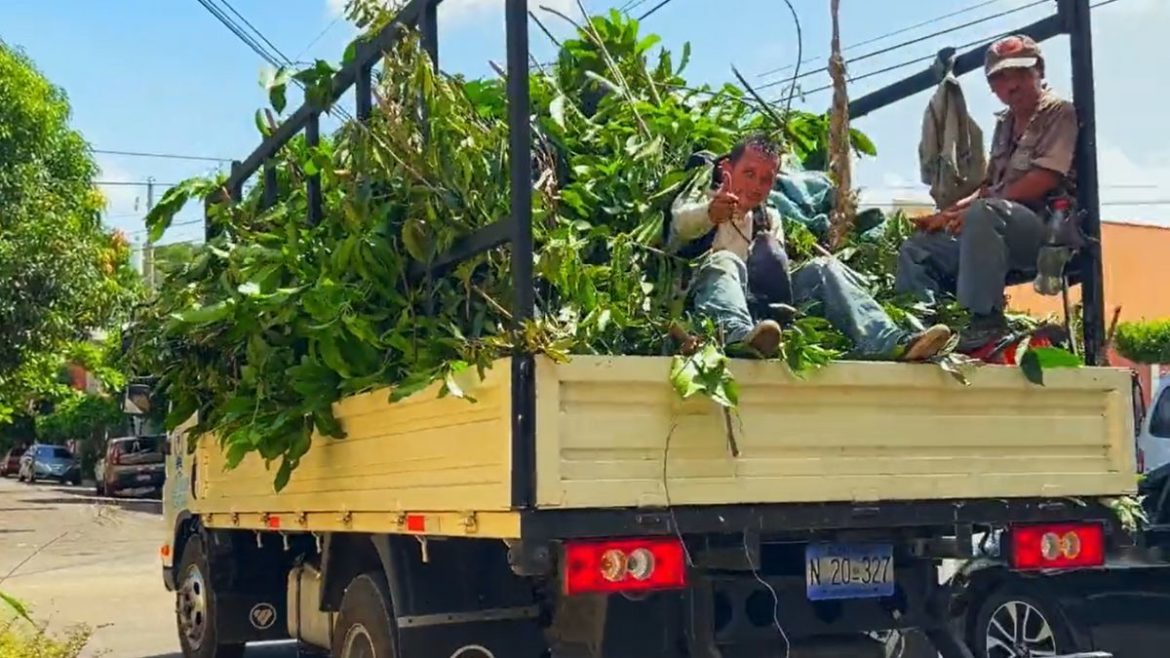 Alcaldía de Santa Ana trabaja para garantizar la preservación de los recursos naturales