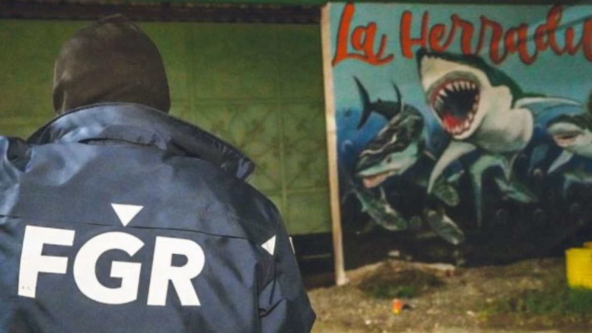Realizan operativo de captura contra un grupo de sicarios en La Paz