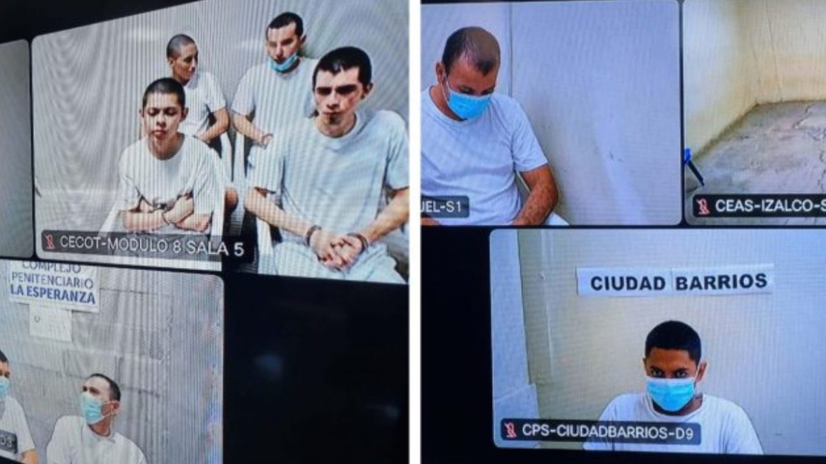 Estructura de 12 terroristas de la Mara Salvatrucha recibe condena de 50 años de prisión