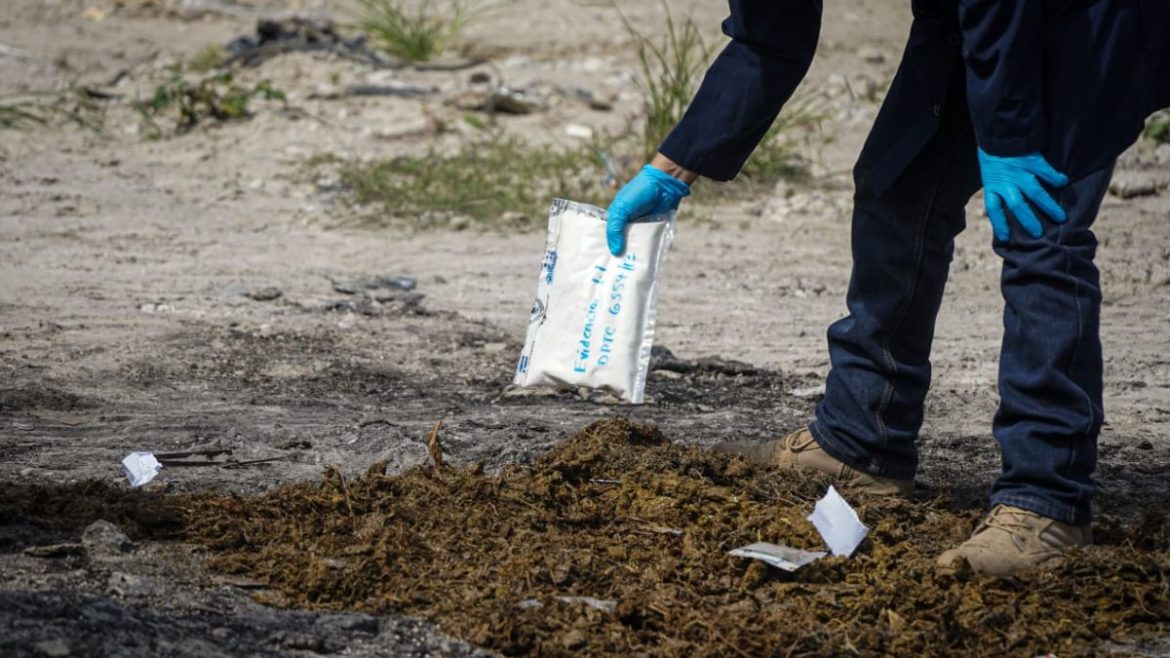 Autoridades destruyen droga valuada en más de $65,000