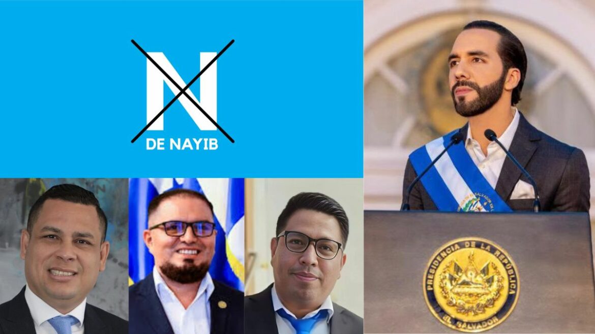 Si las elecciones fueran este domingo Nuevas Ideas obtendría los tres diputados en La Paz Oeste