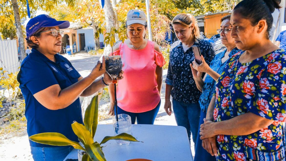 Alcalde José Chicas impulsa proyectos de seguridad alimentaria mediante huertos caseros