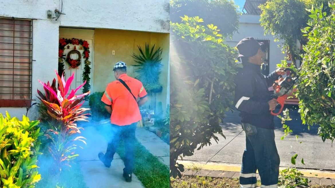 Jornadas de Fumigación y Embellecimiento de zonas verdes en Santa Tecla