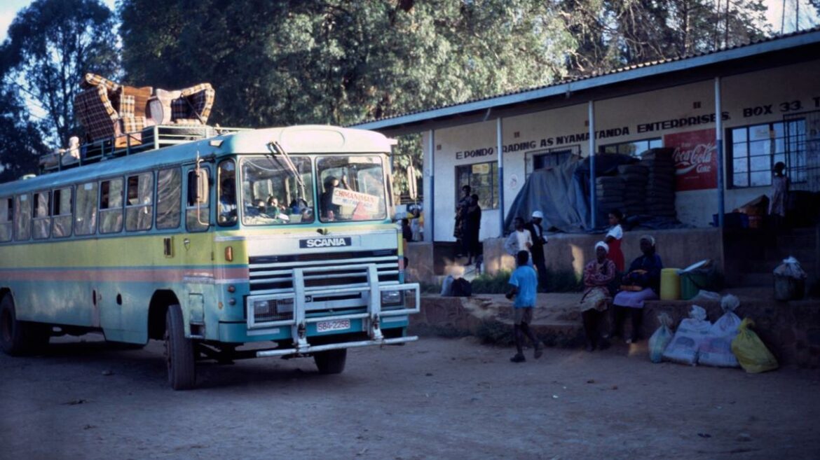 Sudáfrica frenó un presunto intento de tráfico ilegal de más de 440 niños desde Zimbabue