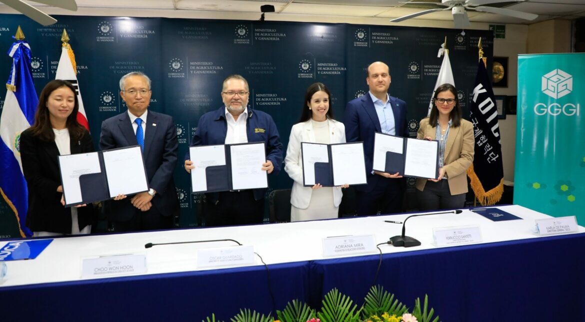 Cancillería lanzó el proyecto de cooperación sobre capacidades para la restauración del paisaje forestal en respuesta al cambio climático