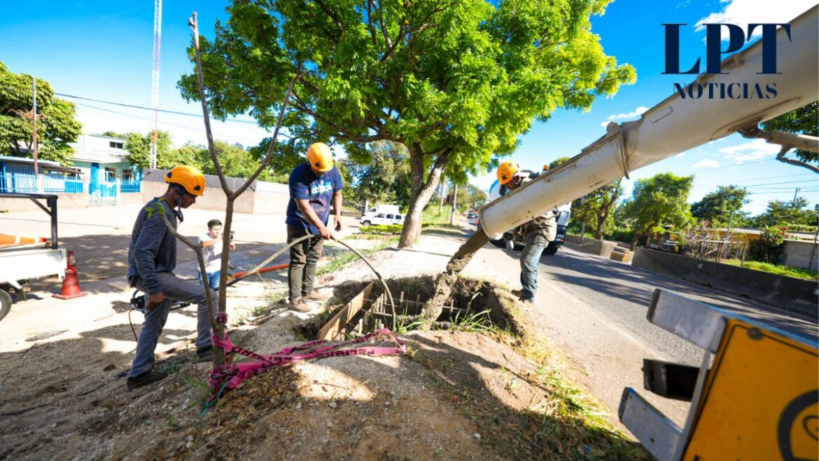 Dan inicio los trabajos de construcción de la pasarela frente a la UNASA