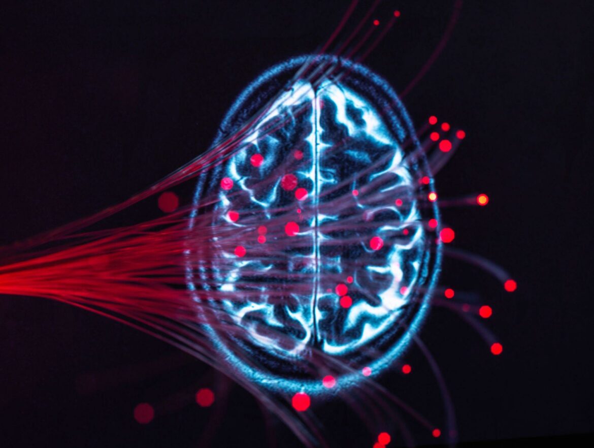 Investigadores concluyen que el cerebro se “reconfigura” a los 40 años, conoce cómo mantenerlo saludable