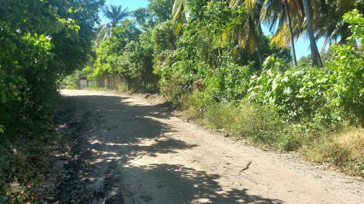 Alcaldía de San Luis Talpa realiza trabajos de Mantenimiento y Limpieza en Comunidad San Luis Tercera