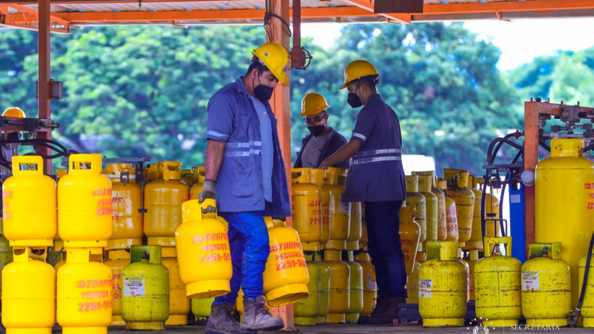 Gobierno de El Salvador destina $198.8 millones en presupuesto para dar subsidios en 2024
