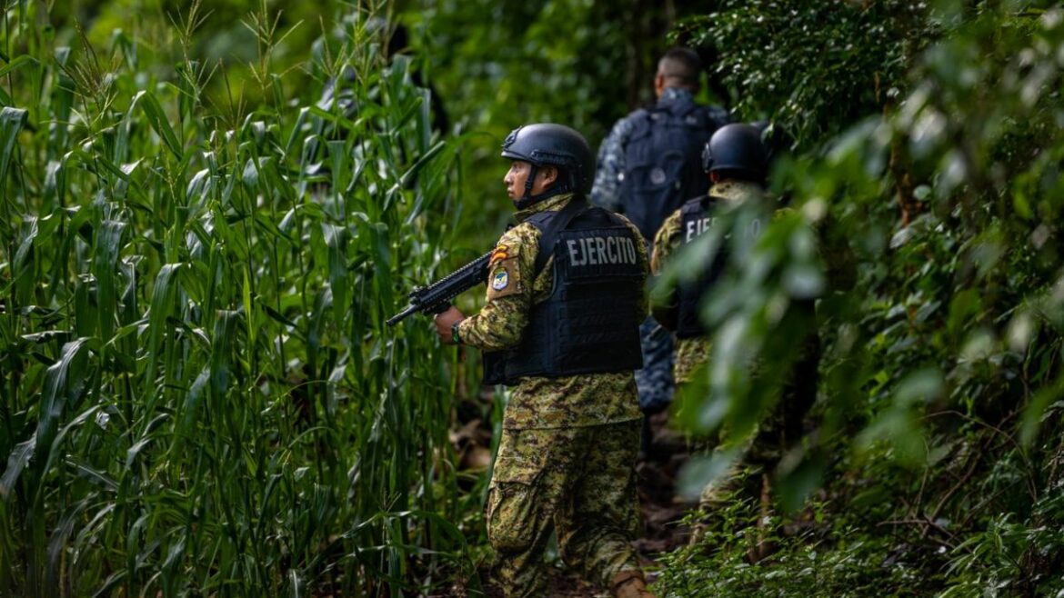 Policías y militares buscan campamentos de pandillas en zonas rurales