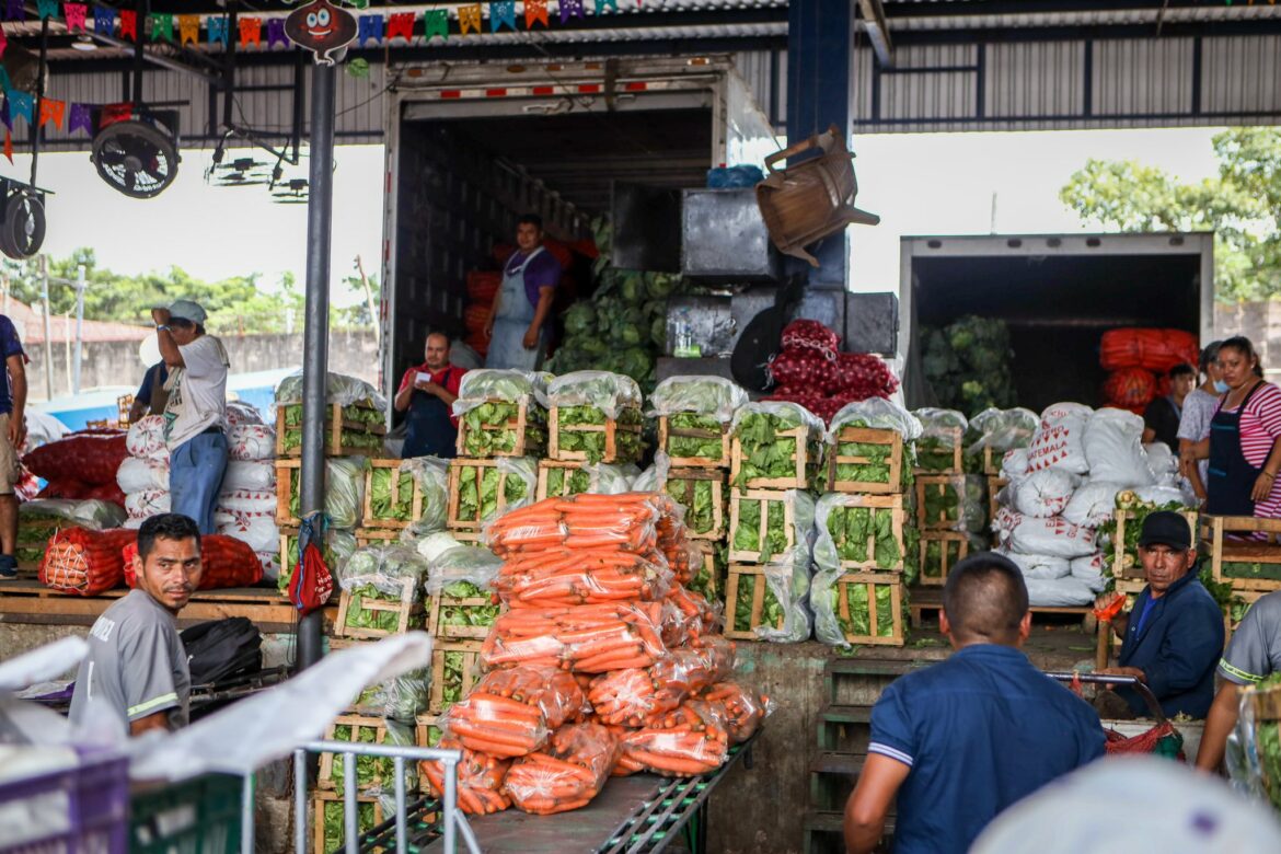 Verduras, hortalizas y frutas que presentaron alzas de precios por la época, se redujeron a más de un 50 %, según el MAG
