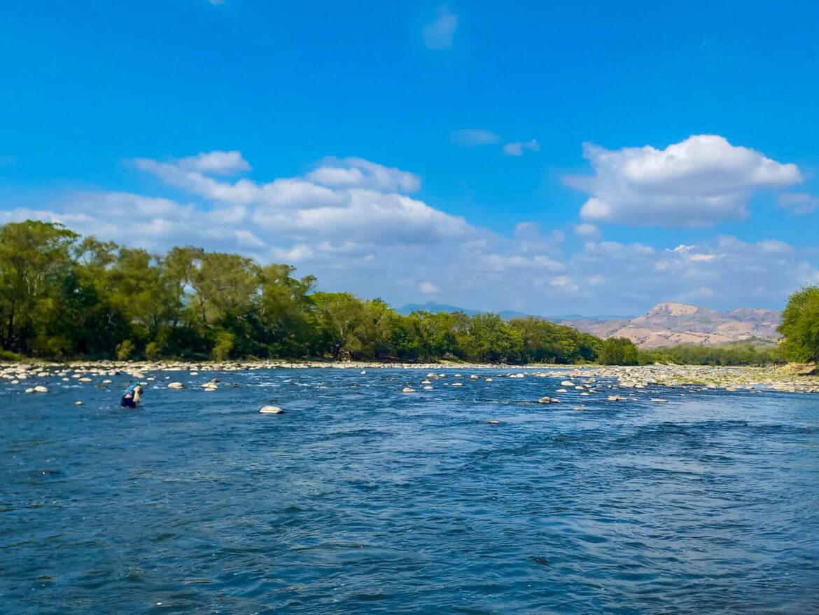Medio Ambiente investiga mortandad de peces y camarones en las cercanías del Puente Arce, en el río Paz
