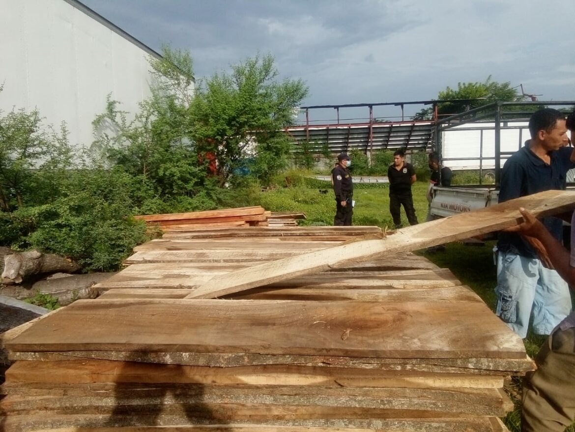 Agricultura podrá reutilizar madera decomisada en la construcción de infraestructura de instituciones públicas