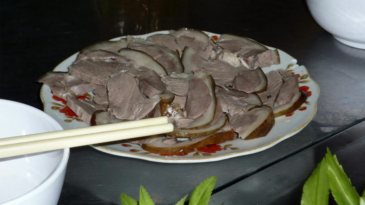 Prohiben el consumo humano de carne de perro en Corea del Sur