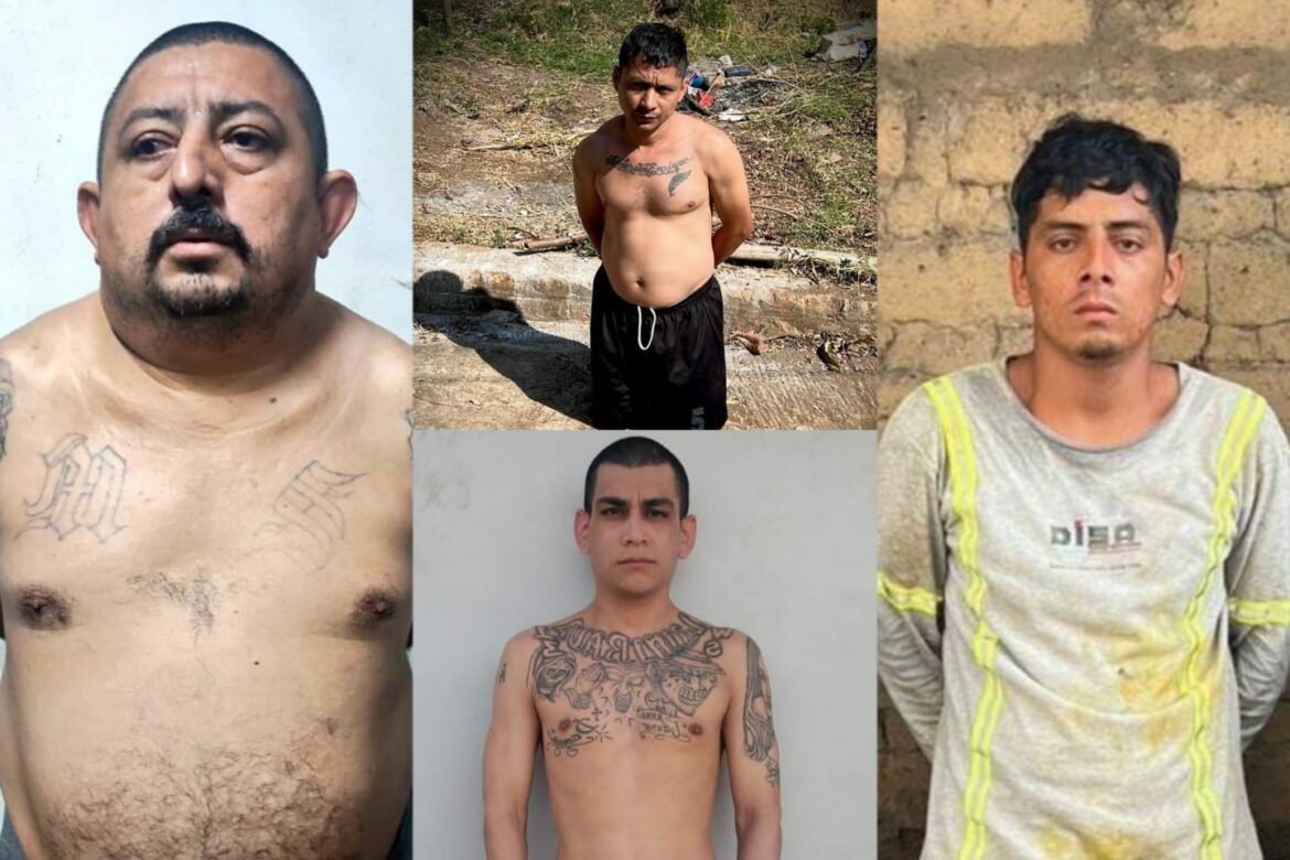 FAES y PNC continúan ejecutando capturas a nivel nacional de presuntos pandilleros