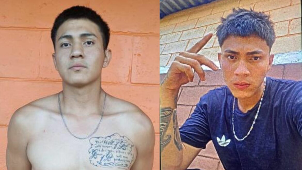 Arrestan a pandillero de la Latin King: «No vamos a permitir que se multipliquen», afirmó Villatoro