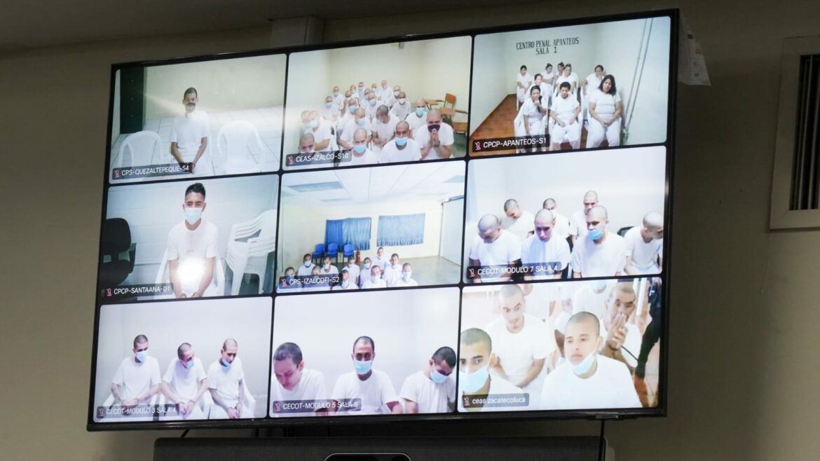 Seguirán en prisión, 146 pandilleros de la MS vinculados en 13 casos por el cometimiento de graves delitos como homicidio agravado