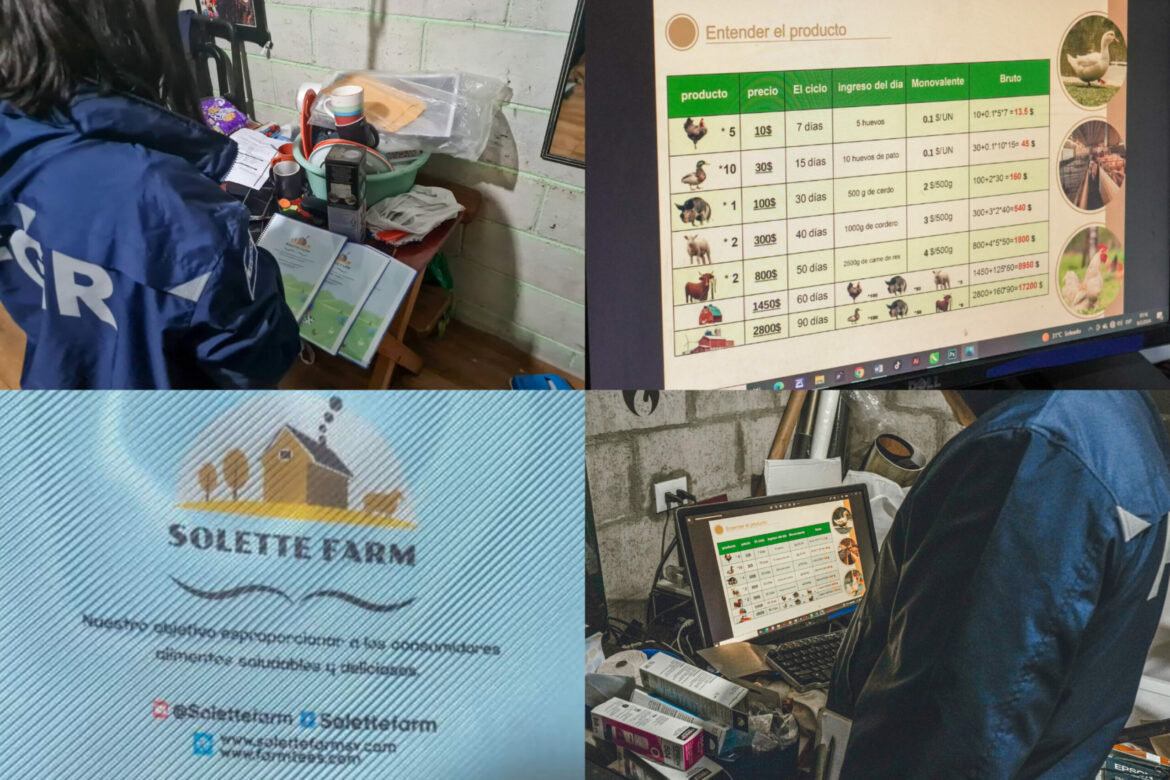 Desarticulan banda de estafadores virtuales que hacían a sus víctimas invertir en supuesta compra de animales de granja