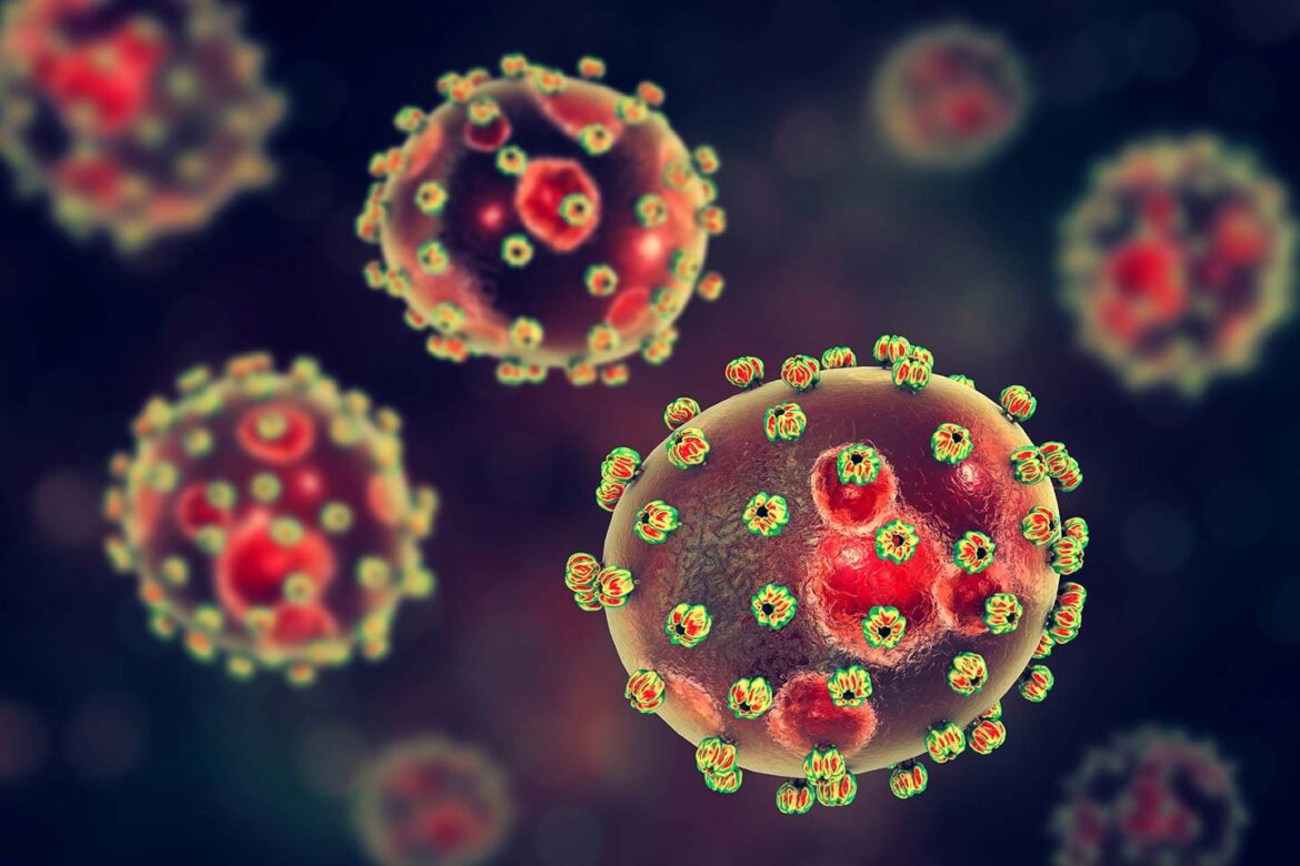 85 personas han muerto en 2024 por el virus Lassa, en Nigeria, ¿enfermedad prioridad para la OMS?