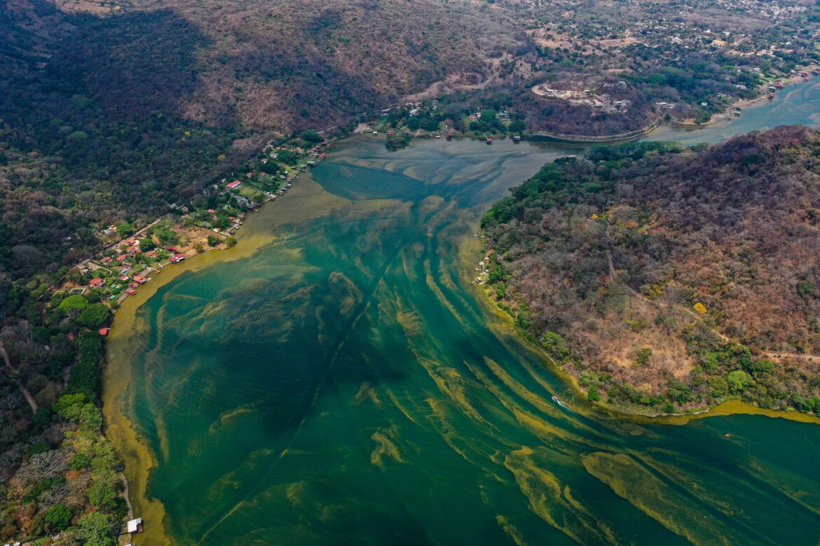 Ministerio de Medio Ambiente advierte zambullirse en Lago de Coatepeque por descomposición de cianobacterias