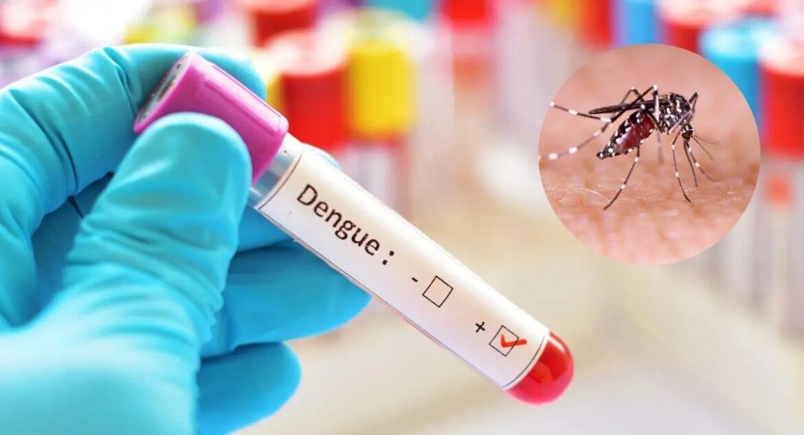 Brasil bate récord histórico de casos de dengue con 1,8 millones en menos de tres meses