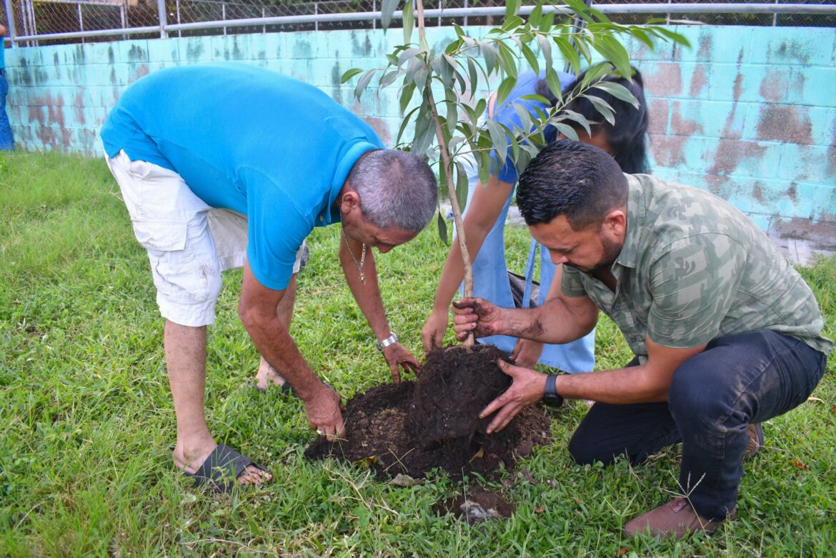 Alex Torres anuncia que reforestará San Miguel Centro a partir de mayo: «es urgente»