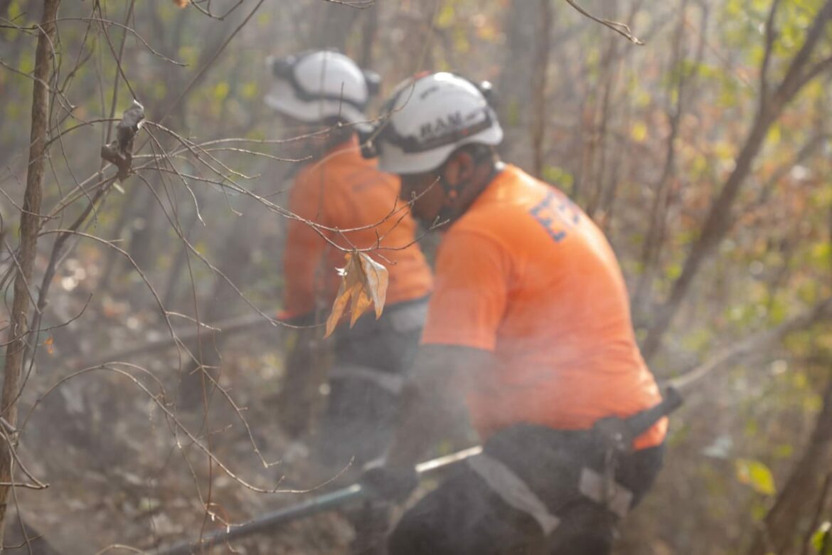 Registran incendio forestal en el Cerro San Jacinto, San Salvador