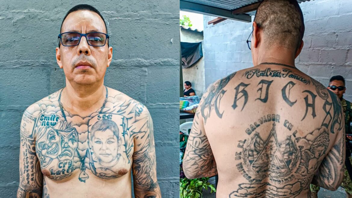 La FAES ubicó a un pandillero de la MS-13 deportado de EE.UU. tras denuncia ciudadana