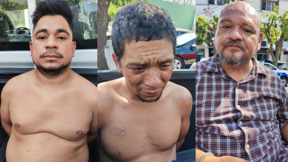 Arrestaron a los tres sujetos que protagonizaron una pelea en el parque Centenario