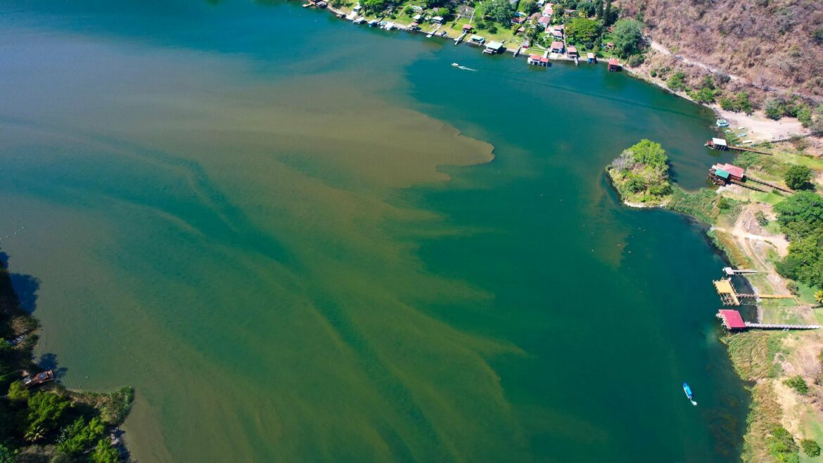 El lago de Coatepeque presenta aumento de cianobacterias, ¿sectores no aptas para el baño?