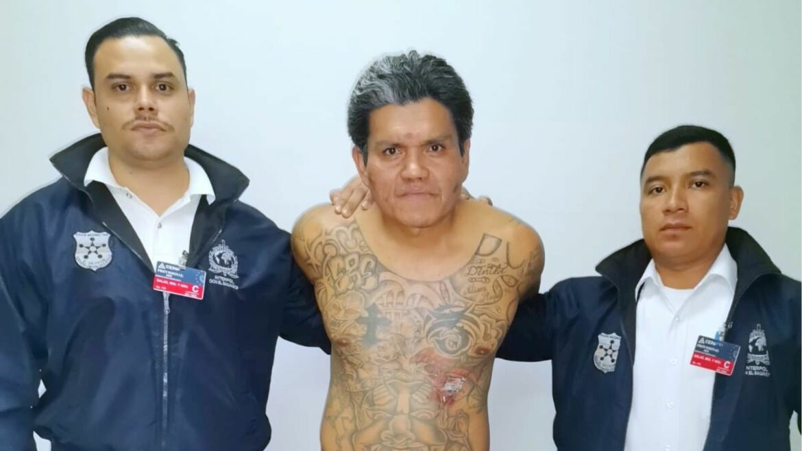 Arrestan a pandillero salvadoreño deportado de España