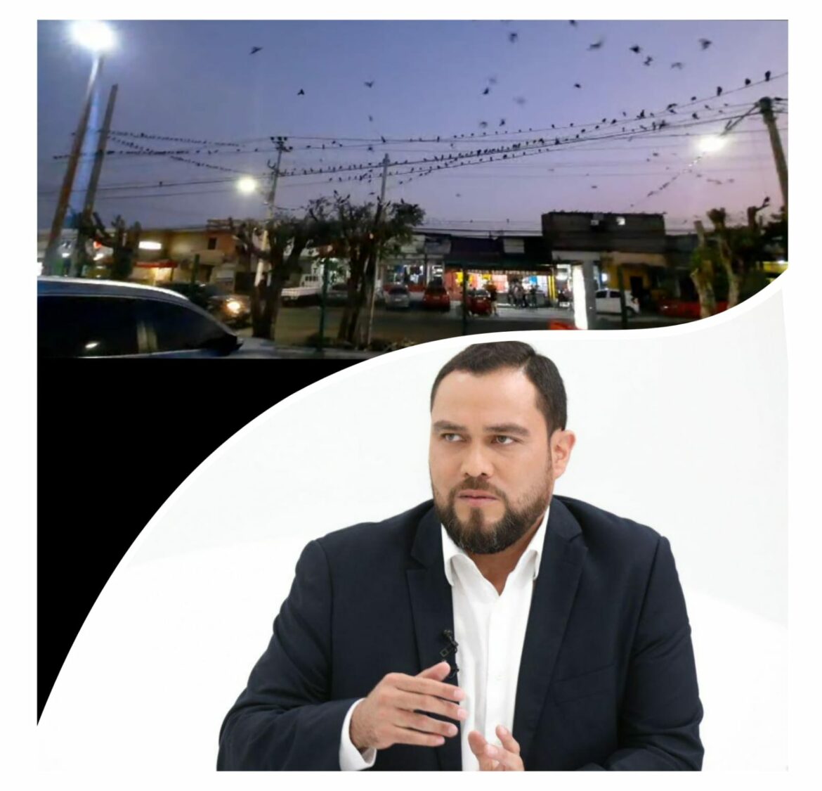 Alcalde Durán ordena el despido inmediato de los responsables de poda de árboles en el sector San Luis que afectó a decenas de aves