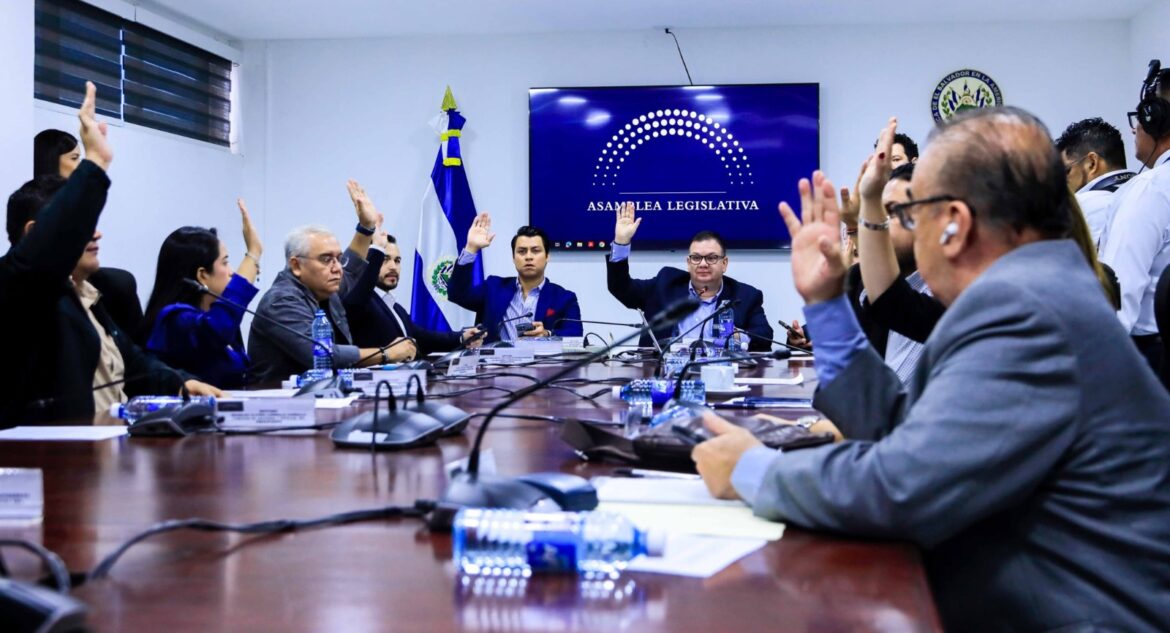 Gobierno destinará $5.5 millones para siembra de maquilishuat, reconstrucción de sala de espera en Aeropuerto Internacional y espacios deportivos comunitarios