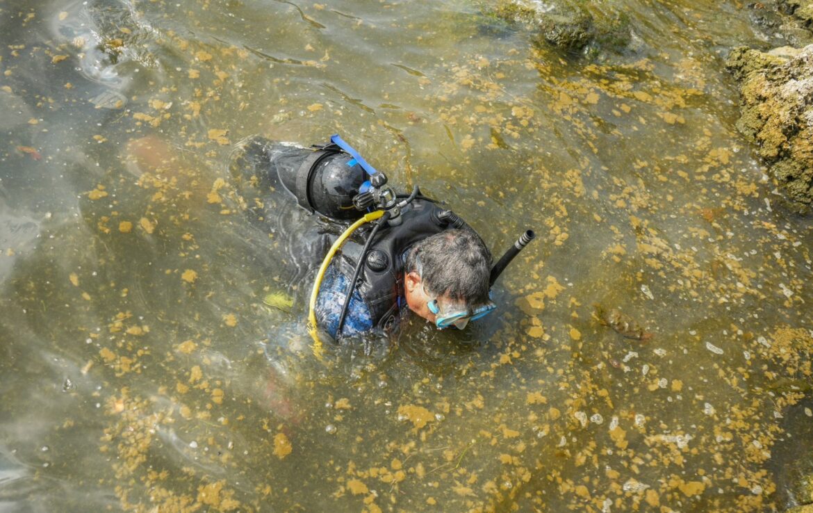 Navarro ante el estado de Emergencia declarado al lago de Coatepeque: es por toda “la contaminación” de los ranchos y restaurantes que están alrededor