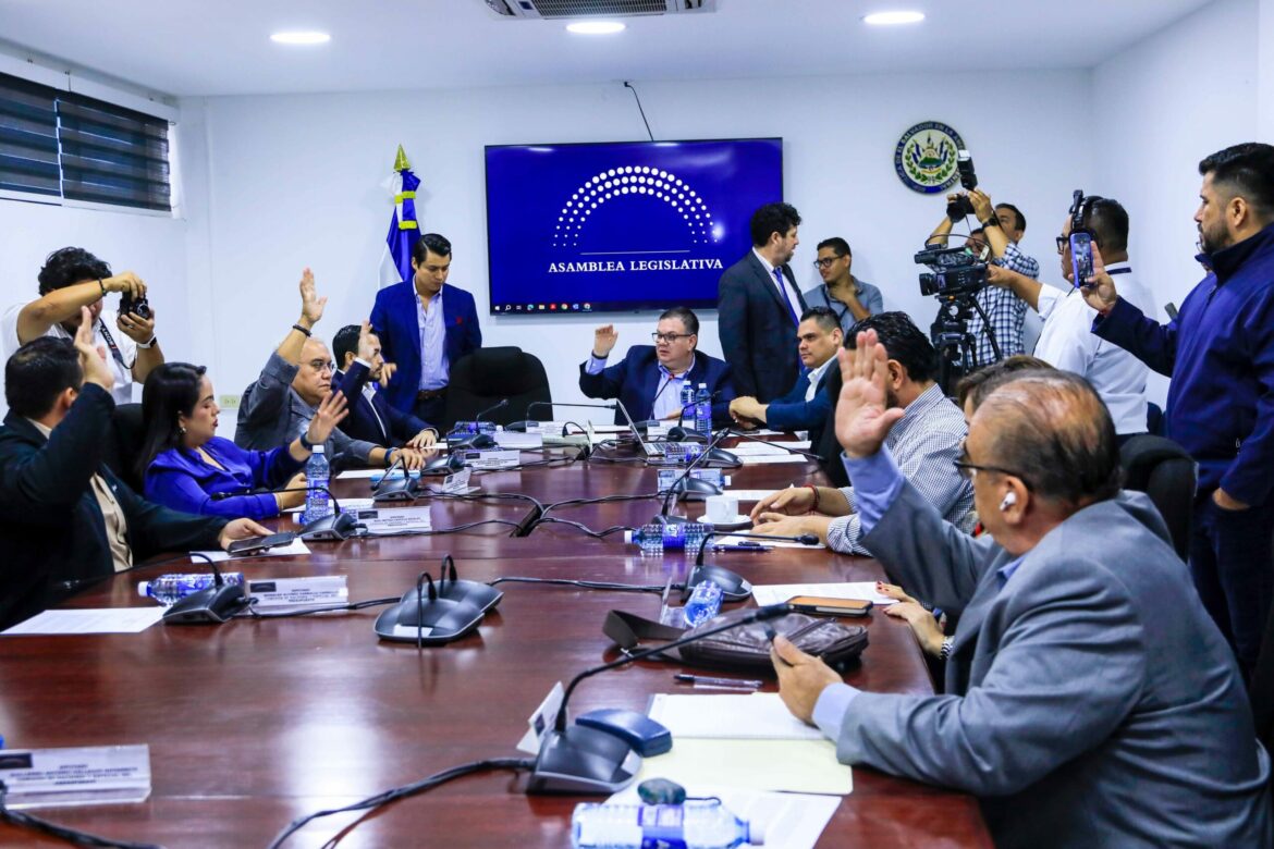 Asamblea podría suprimir ocho comisiones legislativas