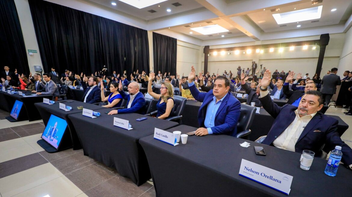 Asamblea aprueba reorientar $5.5 millones para mejor del aeropuerto internacional y siembra de maquilishuat
