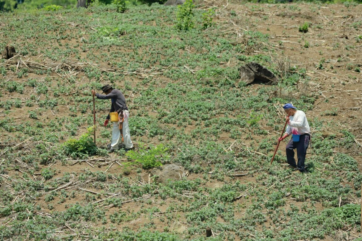 Agricultores aledaños al lago de Coatepeque deben hacer uso de productos agroecológicos