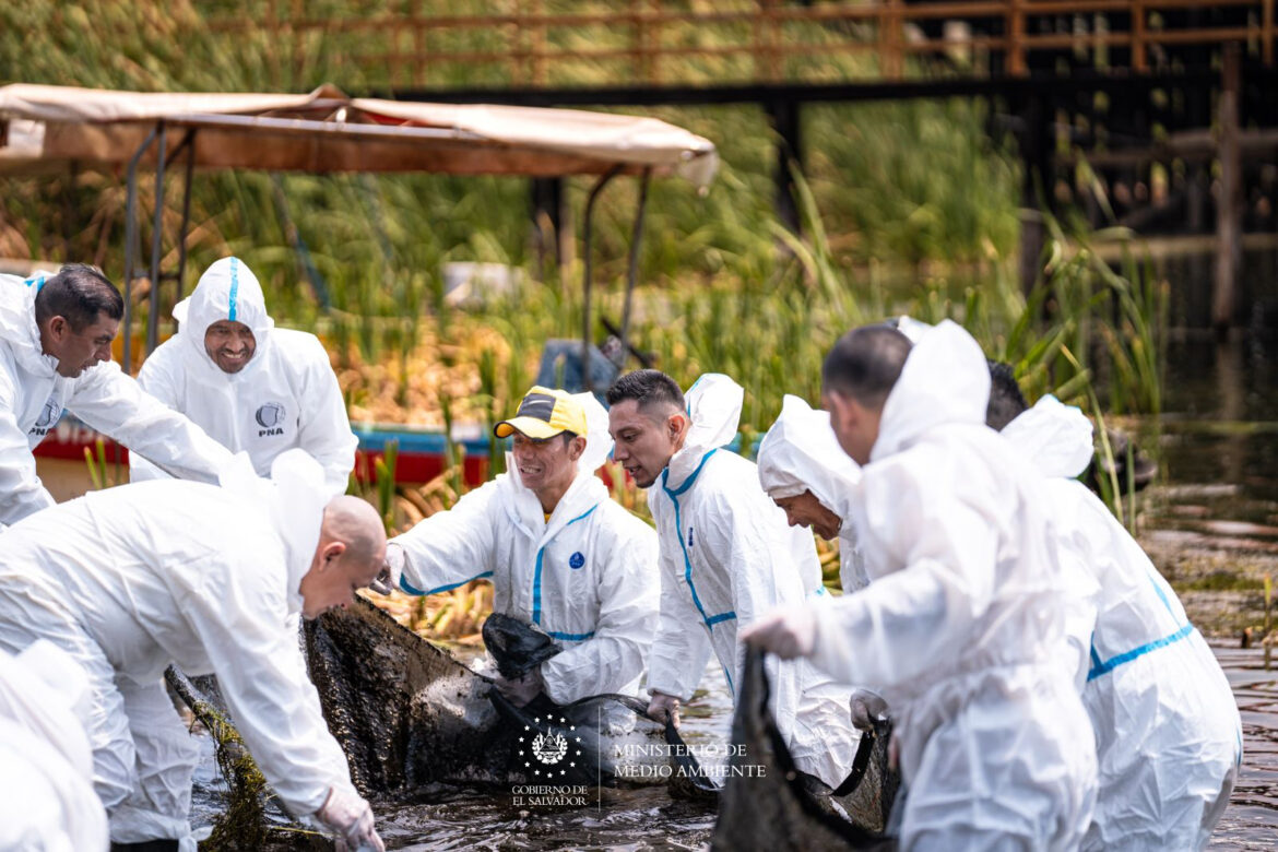 Continúa la extracción de cianobacterias en descomposición en el lago de Coatepeque