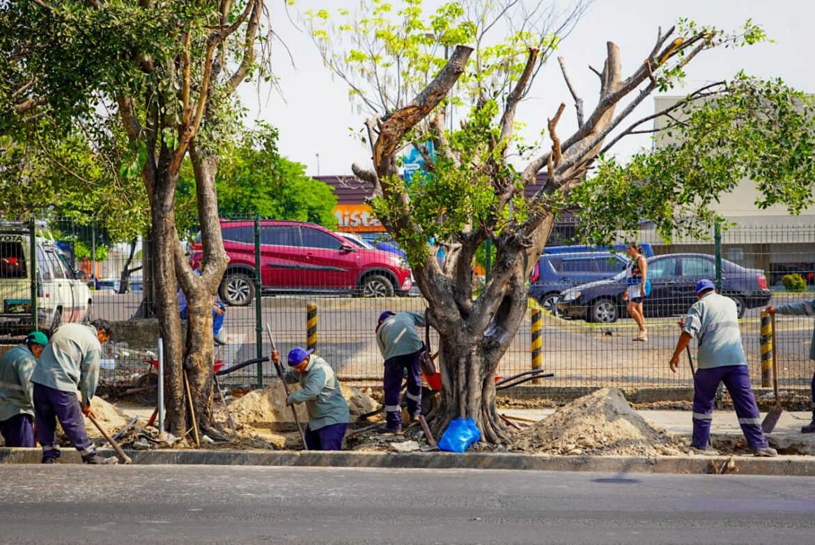 El alcalde de San Salvador inicia proyecto de arborización en la residencial San Luis