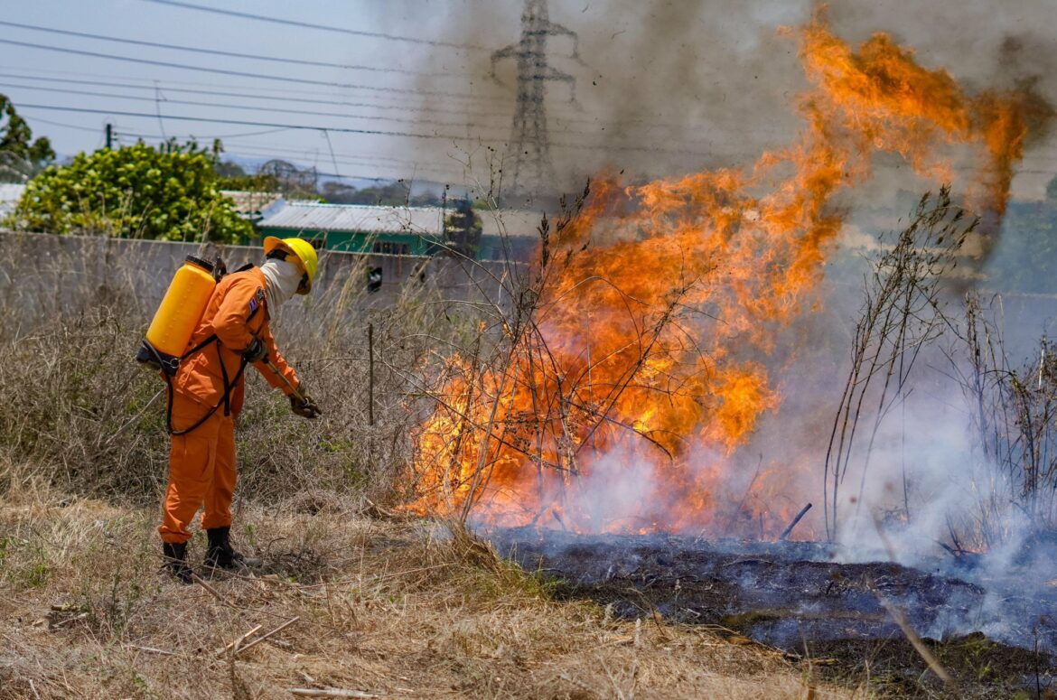 Protección Civil registró ayer 51 incendios y ya suman 23 árboles caídos por los vientos
