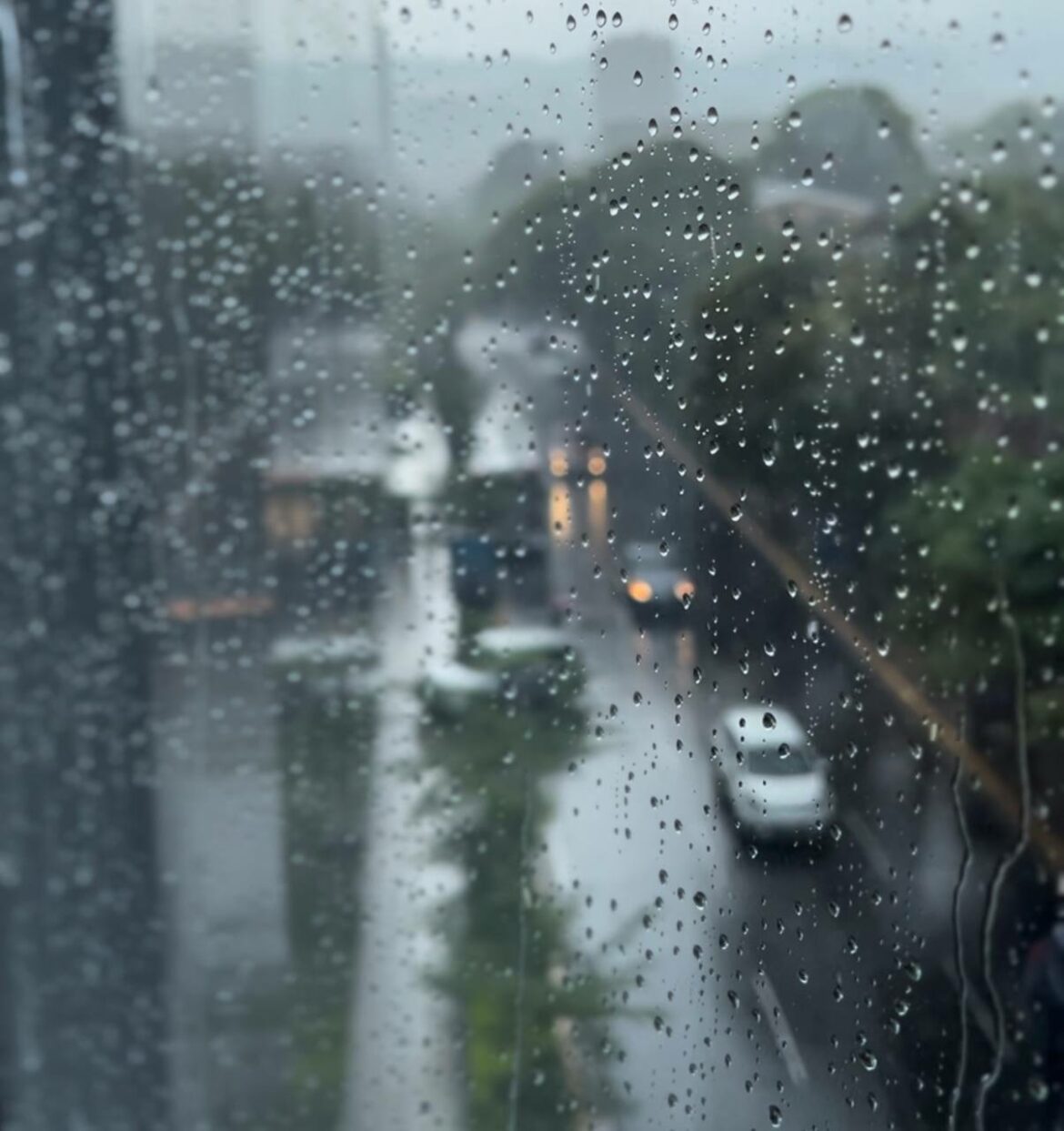 Protección Civil alerta a nivel nacional ante el pronóstico de lluvias para este sábado