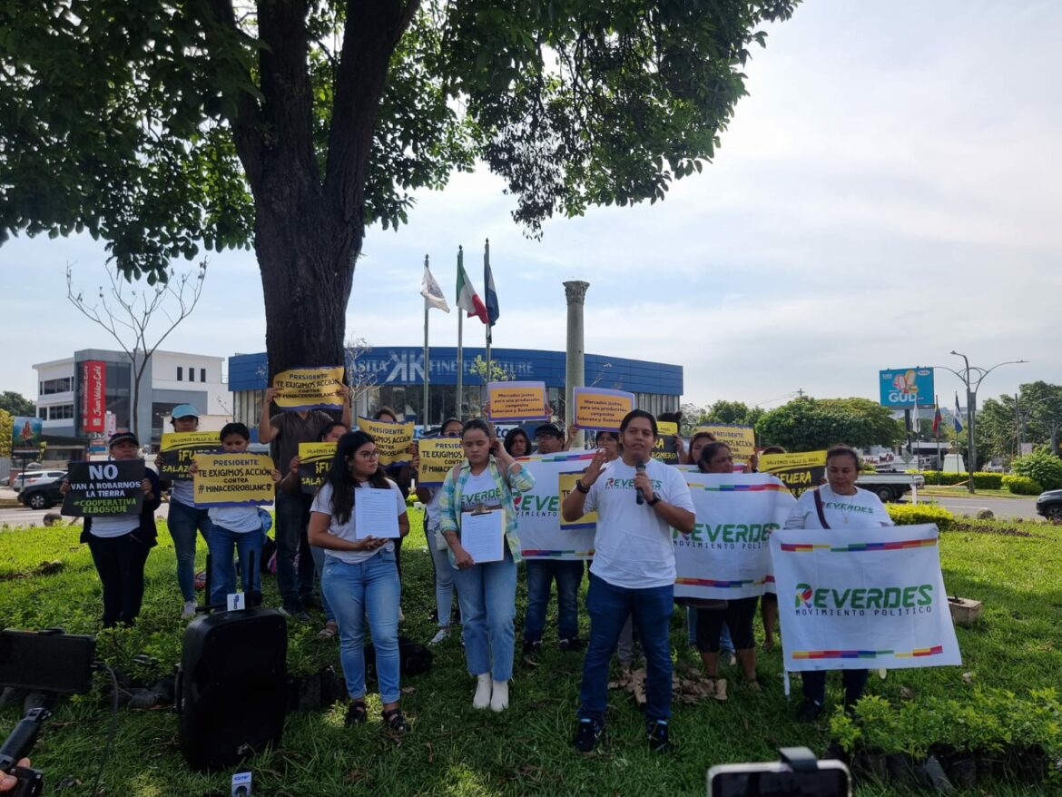 Piden al vicepresidente Félix Ulloa incorporar reformas constitucionales a fin de reconocer los derechos de la naturaleza
