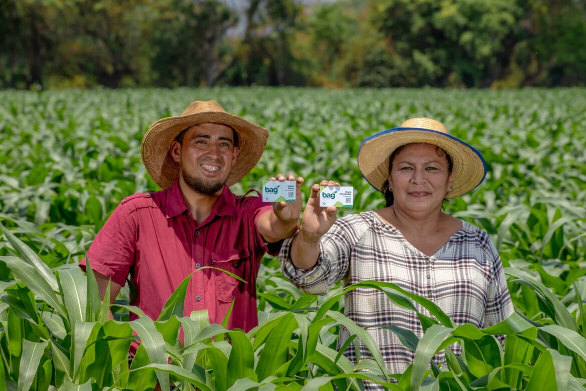 Gobierno sustituye la modalidad de paquetes agrícolas por bono agrícola