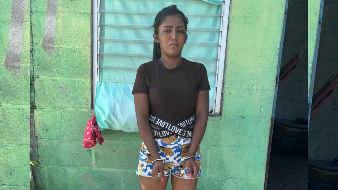 Asesinó a su hija de cinco años por no haber hecho la limpieza, en San Martín