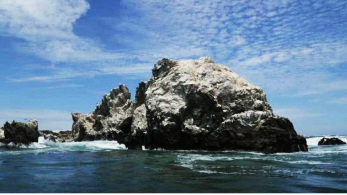 Perú crea reserva natural marina en frontera con Ecuador