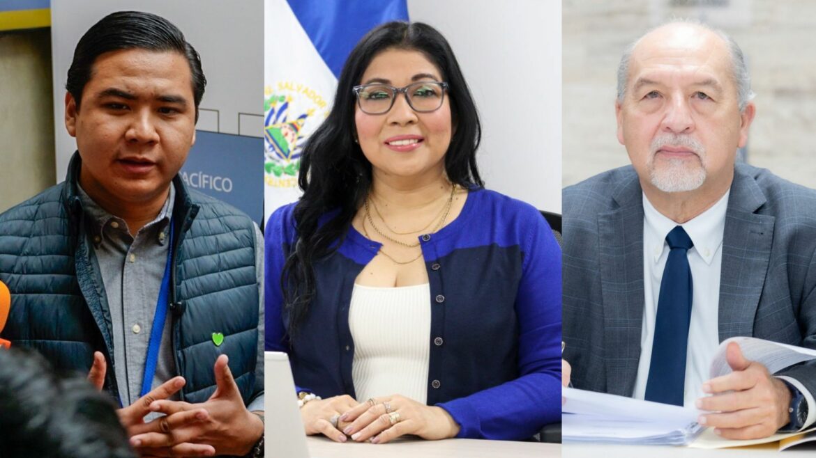 Presidente de Nuestro Tiempo: «Los magistrados Dora Martínez y Wellman adelantaron criterio, «no es primera vez»